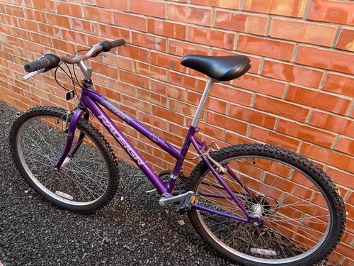 Vintage raleigh montage - vintage,