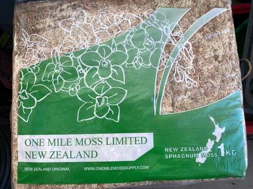 New zealand sphagnum - new, moss