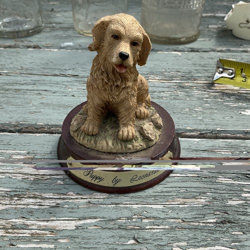 The puppy leonardo - the,