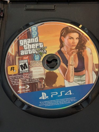 Grand theft auto - theft, v