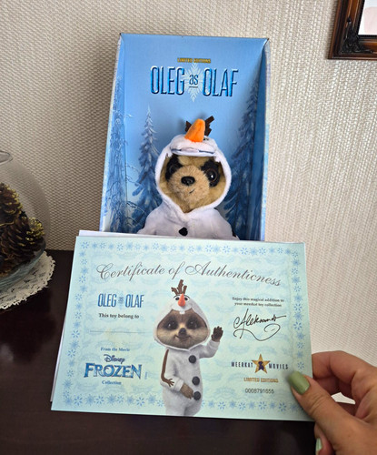 Meerkat movies disney frozen - movies,