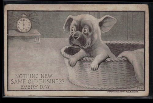 Dog postcard nothing - dog,