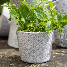 Indoor/Outdoor Glazed