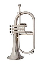 Flugel horn flat silver - flugel,