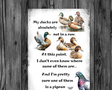 Garden/Indoor Ducks Metal Sign Novelty Gift Idea - 28cm x 19cm