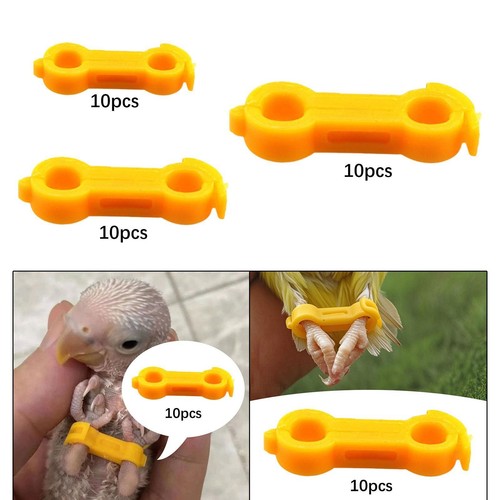 10pcs poultry leg bands - poultry,