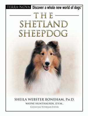 The shetland sheepdog terr - sheepdog;, terr-