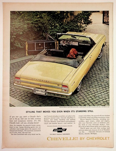 Vintage chevrolet chevelle - vintage,