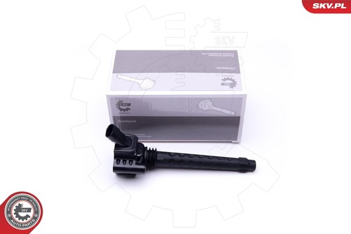 Ignition coil esen - esen, skv