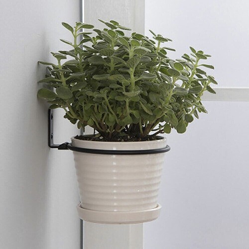 Pcs flower pot plant wall - pcs,