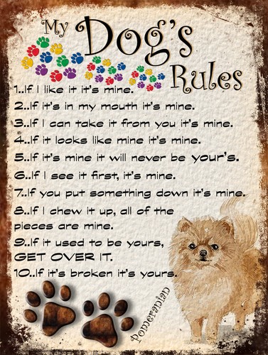 Dog rules retro - rules, style