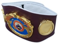 WBO World Boxing Organization