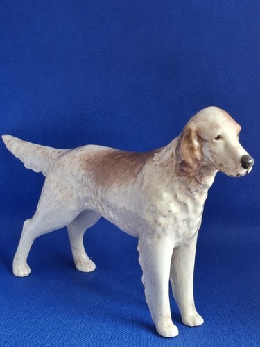 Branksome china english setter - branksome,
