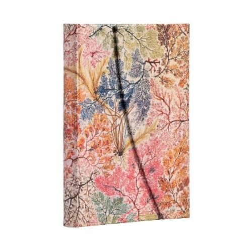 Paperblanks anemone mini lined - paperblanks,