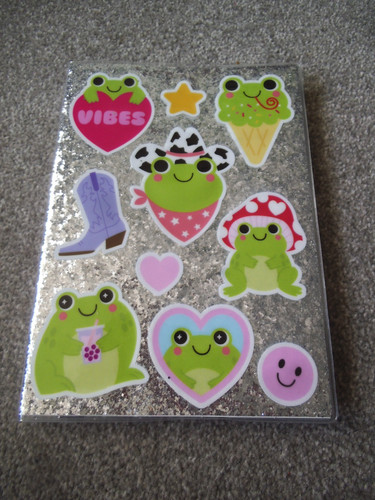 Whsmith y2k frog ruled - frog,