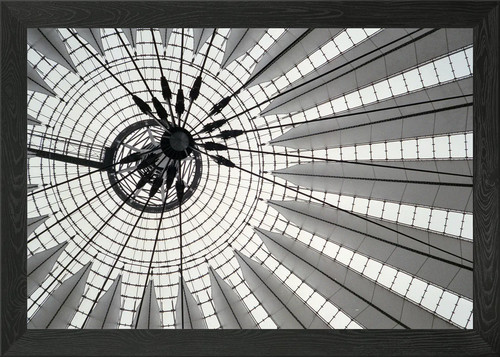 Roof the sony - sony, framed