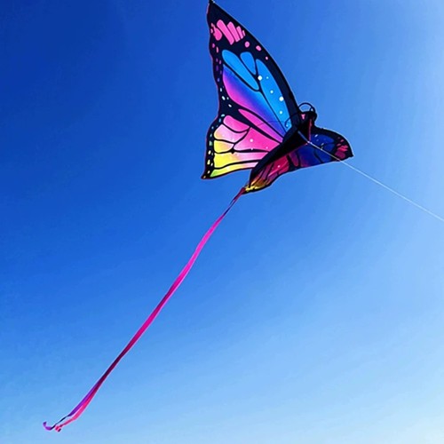 Beautiful butterfly colorful - beautiful,