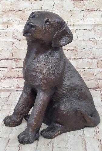 Bronze labrador puppy dog - labrador,