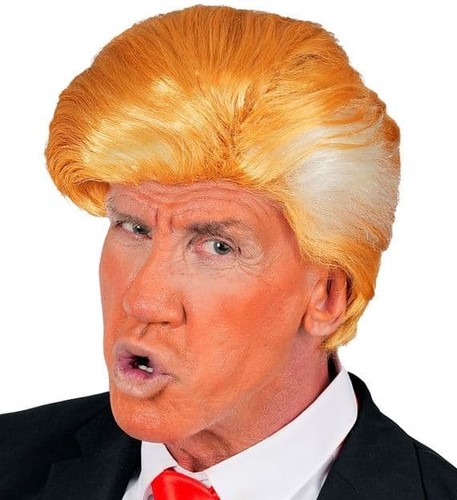 Mens president wig - wig,