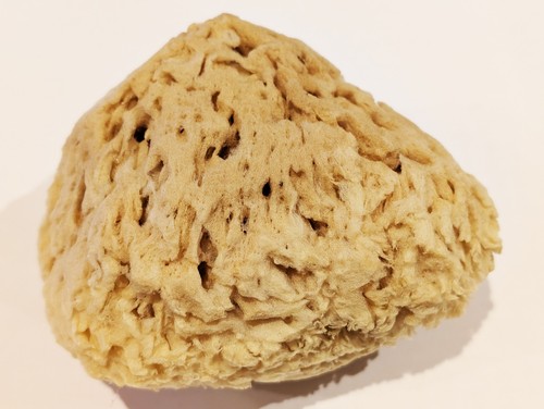 Premium quality natural prime - quality,