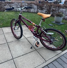 Raleigh Pop 20 inch Wheel Kids