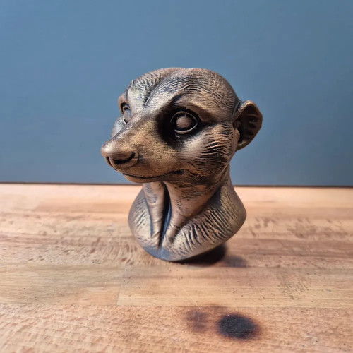 Meerkat bust - meerkat,