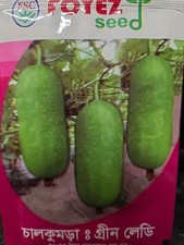 Jali Kumra (Ash Gourd)