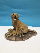 Border Fine Arts Golden