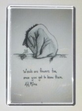 LARGE FRIDGE MAGNET ❤ EEYORE - WEEDS ARE FLOWERS TOO, ONCE YOU GET TO KNOW THEM