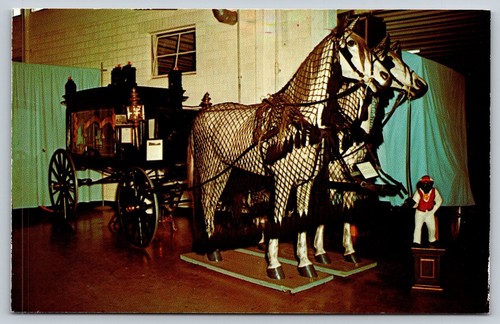 Postcard horse drawn hearse - horse,