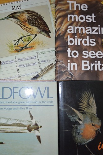 Ornithology books birds - ornithology,