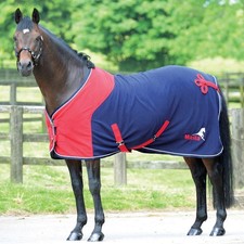 Horse Turnout Rug Cooler