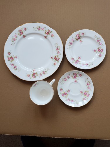 Vintage bone china dinner set - bone,