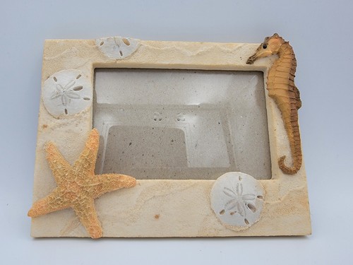 Vtg life echoes sand sea - echoes, horse