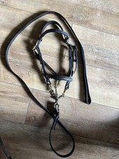 Pony Size In Hand Bridle And Lead Rein English Brass Fittings