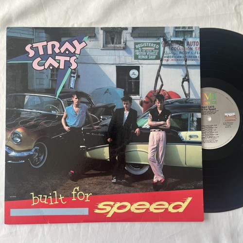 Stray cats built - cats,