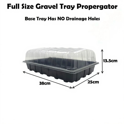 Seed tray and - seed, lid