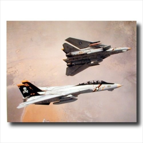 Pair tomcat military - f-14,