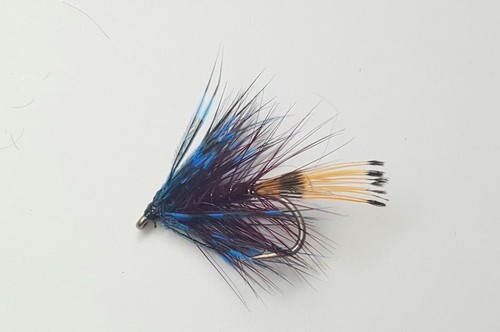 Claret irish bumble wet - x,