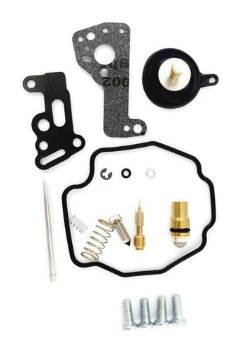 Carburetor repair kit for - kit,