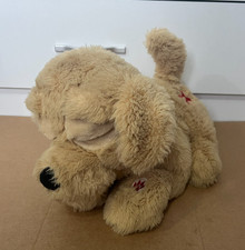 My Pet Vet Max the Dog