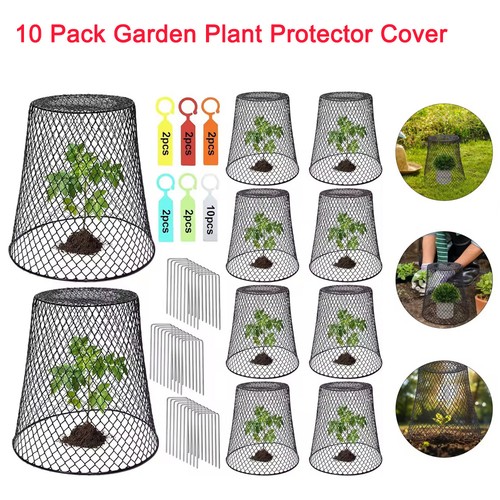 10x iron mesh design - 10x,
