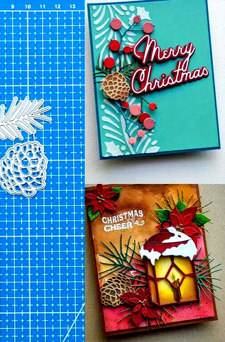 Two pine cones - two,