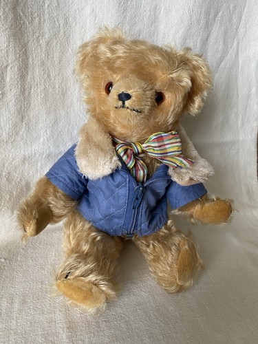Veb germany teddy bear - teddy,