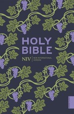 NIV Holy Bible (Hodder