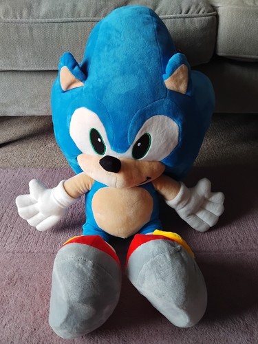 Sonic the hedgehog - hedgehog, play