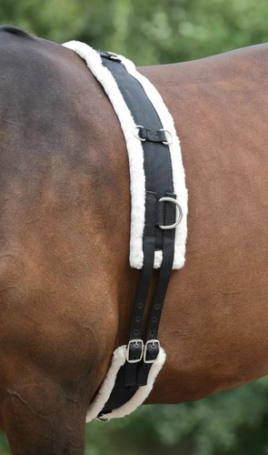 Horse masters lunging roller - horse,