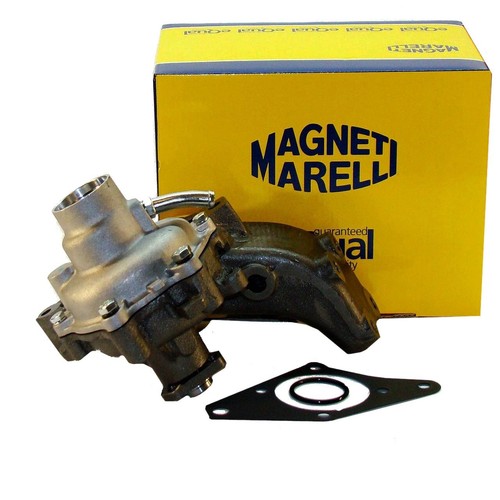 Water pump gasket - +,