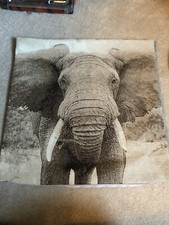 elephant cushion cover 48x48cm