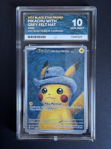 Ace pikachu with grey - ace, 10
